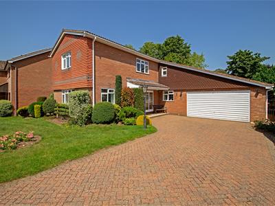 Picture 28